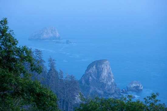 Bark;Blue;Bluff;Boulder;Branch;Branches;Brown;California;Cliff;Crag;Escarpment;Geological;Geology;Gray;Herbaceous;Ledge;Ocean;Plant;Precipice;Rock;Rock Face;Rock Formations;Rocks;Sea;Stone;Stones;Striation;Tree;Tree Trunk;Trees;Trunk;Water;Waves